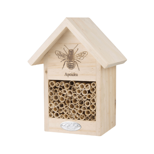 Bee House with Bee Apoidea - Wonder & Wild